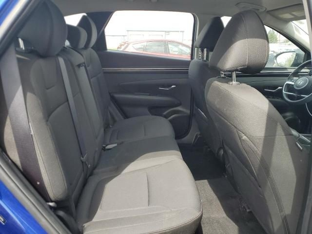 شـــــــــــــــــــركة مـــايباخ 

هيونداي توكسان موديل 2024
واصل للبصره مصلح وجاهز بسعر ب135 قفل 🔐

بأدارة علي عباس الخُزاعي 
وجهتك الأولى لأستيراد وتصدير السيارات
الديوانية . حي الجزائر . شارع البستان
📞 ***********
📞 ***********
