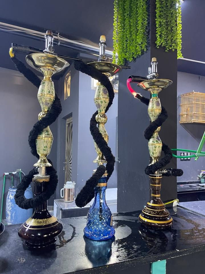 للبيع ناركيلة طه عدد 11
البصرة الزبير 
***********
