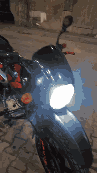 بوكسر جبلي • مديل 2023 • نجف