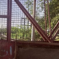 باب كبير • طلعتين • جملون