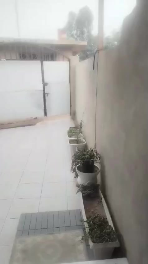 يالله
مكتب ابراهيم النصراوي
***********
 بيت ١٥٠ طابو زراعي سند ٢٥ يحتوي البيت ستقبال وصاله ومطبخ مفتوح ع صاله وغرفه جوه وغرفه وصاله فوك مكان البيت مقابيل محطه وقود الميقادد
‬‏:السعر ٦٥ بي مجال قليل
