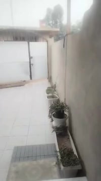 بيت ١٥٠م • طابو زراعي • مقابل محطه الميقاد