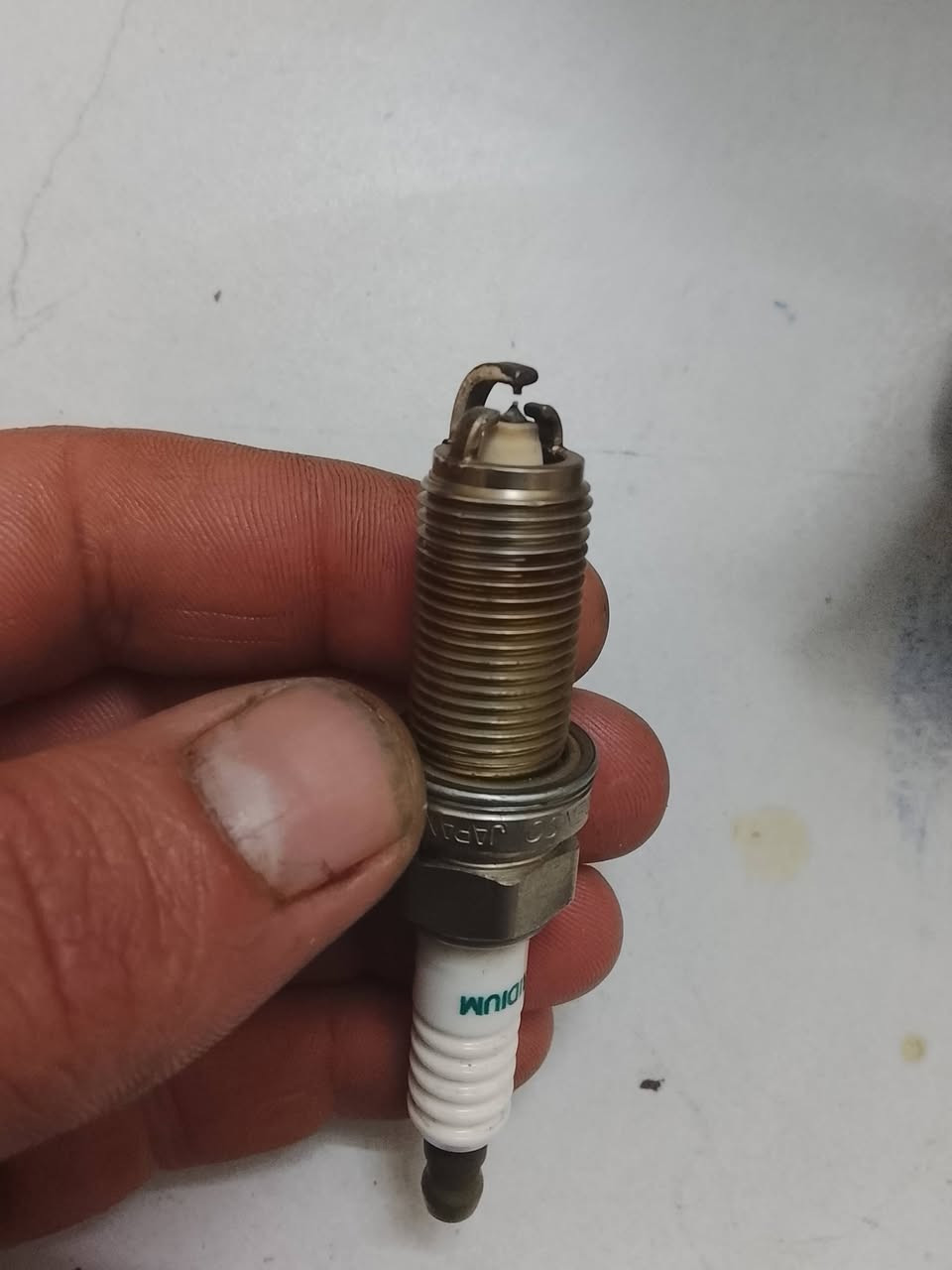 السلام عليكم ورحمه الله وبركاته بلكات دنسو 16 16سن طولي ليزري كهرب متوفر جملة مفرد 
لحجز واتساب ***********
