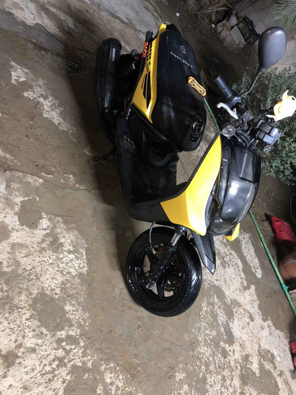 سكنس جبلي رمبه كفاله عامه سبوع من نازله من رمبه للبيع تواصل هذا رقمي ***********
