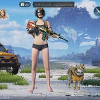 للبيع مكان بغداد كل الاسلحه كل مسج وبي لفل ٥  مستوى ٨١ تواصل 077326997...