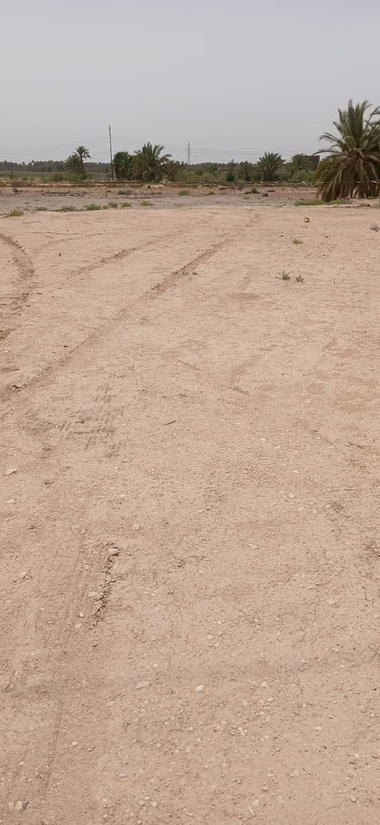 قطعة أرض مساحة ٤٠٠ متر طابو زراعي سند ٢٥ تحويل مباشر على طريق محاويل حله على الشارع العام قرب البوابه قبل  سيطرة الآثار السعر ٢٢٥ مليون وبيها مجال
للاستفسار اكثر اتصل ***********
