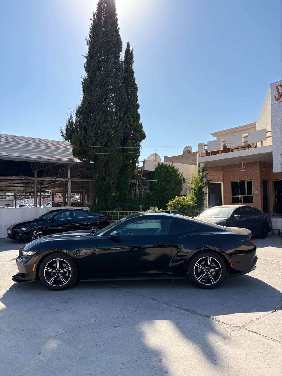 Ford Mustang | فورد موستانگ
.
مودێل: 2024
.
مواصفات: EcoBoost Premium - ئیکوبوست پریمیوم
.
محرك 4 - 2.3L Turbo
.
نیڤ بولند سبغ
بوستەک چاملغ
.
ئیرباگ سیستەم
.
33000 مایل چوی
.
سعر: 205 مەجال
.
***********.    کورەک + واتساب.
.
زاخو زاخو, دهوك
