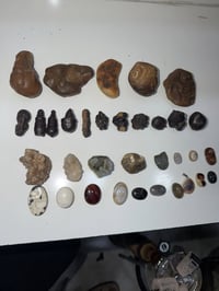 ✨ خرز للبيع ✨  🔸 هبهاب 🔸 سلطاني 🔸 زوعات 🔸 خرز منوعة  للاستفسار 0773337...