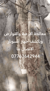 معالجة الارضة والقوارض الاتصال بنا#07702997791 07763642944 اهم خطوة قب...