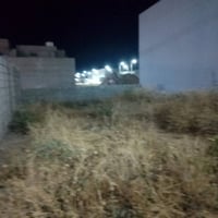 توله فروش • ١٠٠م • طابو زراعي