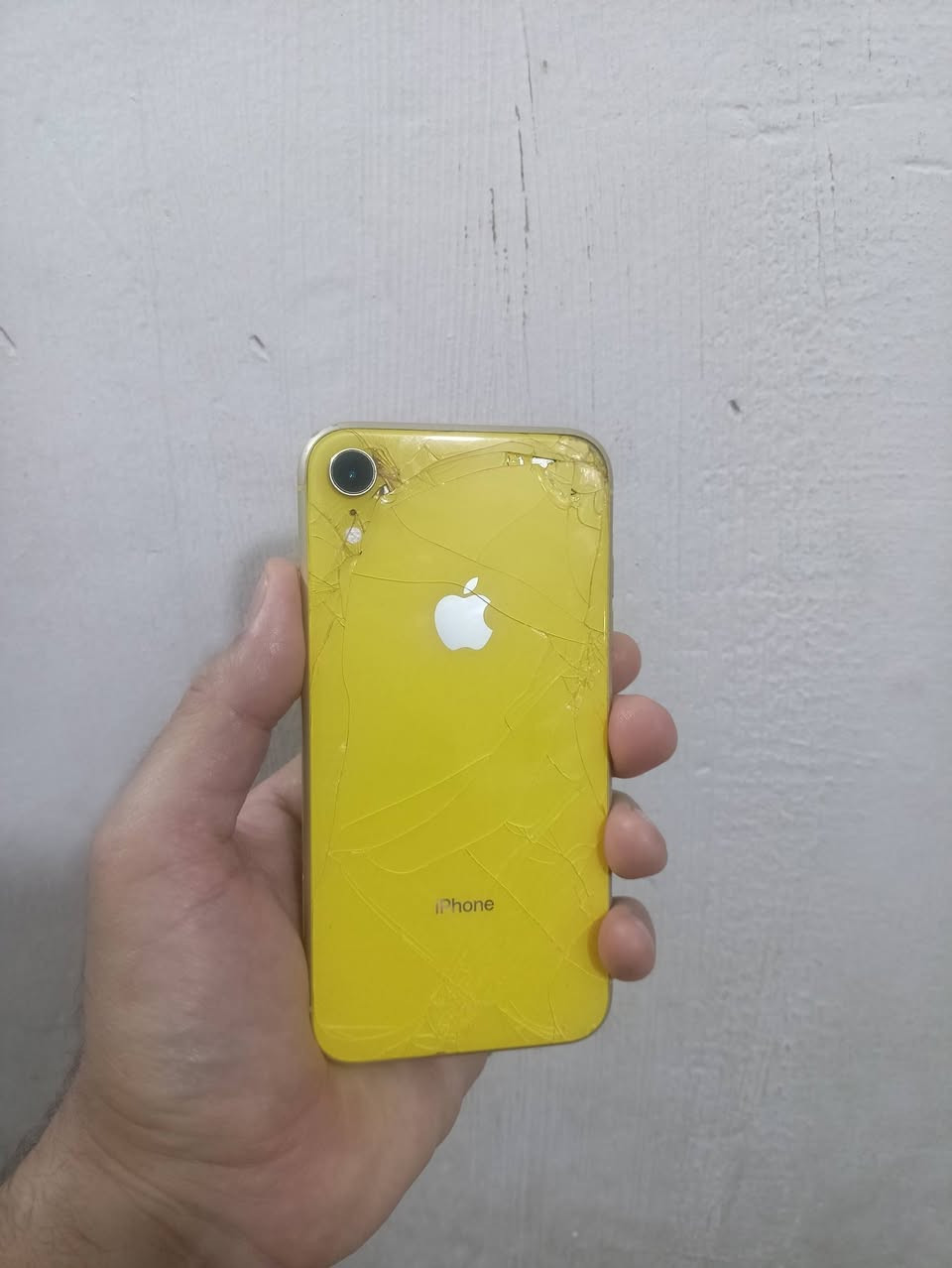 ايفون XR ذاكره 128 بطاريه84 بي افطور بلشاشه وضهر المس شغال طبيعي وفيس ايدي واكف والباقي كله شغال سيمكارت تكنيك صوت كله شغال فول مكاني بغداد المنصور سعر 90 قفل من الاخير


**إذا كنت صاحب هذا الإعلان وتريد حذفه لأي سبب، رجاءا أرسل رسالة إلى الدعم الفني**