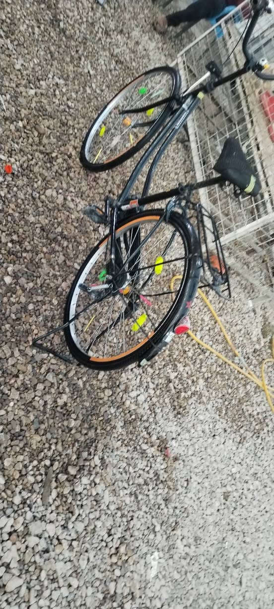 سلام عليكم باسكل البيع مديل 19 سانتوس ما مصبوغ باسكل بدون جاملغ كدام و صنيه ما بي هوه غراضه كامله بس صنيه و جاملغ كدام ما بي سعر 60 وبي مجال ابيع او مراوس مكان نجف رقم *********** وساب فقط
