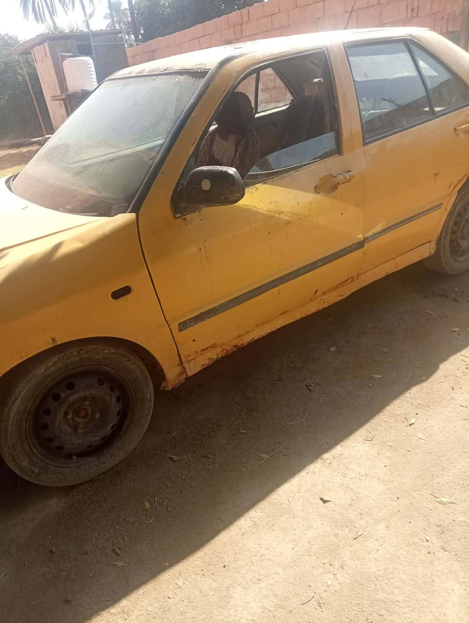 سياره شيري كير ومحرك كورله للبيع او مراوس ب سايبه السعر 15 وبيهه مجال ***********
