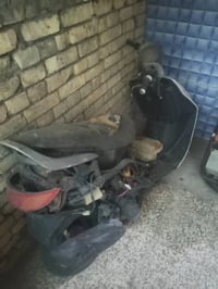 فراشه • اوراق • تجفيت