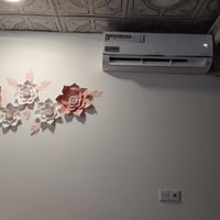 ال جي • ٢ طن • وضع شركة