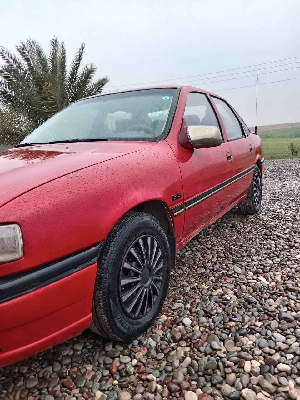 السلام عليكم ورحمة الله وبركاته
((  فكــترا للبيـــع)) 

حجم 16
سنويه جديد رقم نينوى مسطرة جديد
مابيه ضرر فقط مصبوغ للجماليه 
سيارة جديده 
عنوان 📍/ الموصل 
رقم الهاتف / ***********
:-- غير متواجد ع فيس للأستفسار اكثر اتصل على الرقم اعلاه 👆
