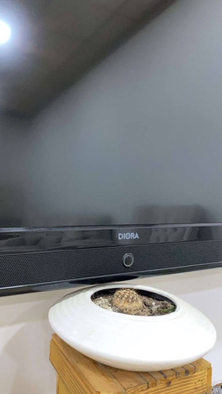 شاشە ٣٢ مارکەی Diora کەم بەکارهاتووە پاک و پوخت 100 هەزار


**إذا كنت صاحب هذا الإعلان وتريد حذفه لأي سبب، رجاءا أرسل رسالة إلى الدعم الفني**