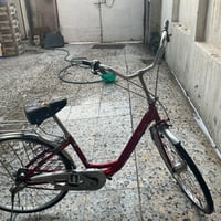 الدولعي جامع العباس