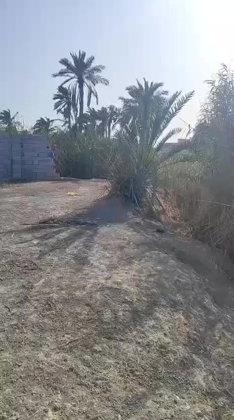 اللهم صلِّ على محمد وآل محمد  دونم للبيع طابو زراعي عراقي تحويل سهم باسم المشتري
على شط السراجي مباشر
العنوان ابو الخصيب عويسان سعر 550 واتصل وتساب ***********
