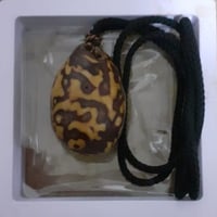 عود الصليب المغربي • توصيل مجاني • كافة المحافظات