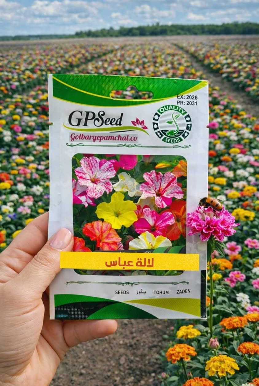 🌱💚 كل بذرة نحطها بالتربة… نحط وياها أمل جديد يكبر ويزهر.
 الزراعة مو مجرد هواية، بل أسلوب حياة يزرع الطمأنينة والراحة بكل بيت.

🌸 متوفر لدينا: في مكتب المهندس الزراعي 
– بذور زهور جميلة وزاهية تعطي لمسة فرح للحديقة
– بذور نباتات نادرة تضيف جمال استثنائي وذوق مختلف
– بذور أشجار مثمرة وزينة تنمو وتبقى لسنين طويلة

🛡️ نحرص أن نوفر لكم أجود الأصناف من بذور مختارة بعناية، ونقدمها بكل محبة وصدق.
💬 ثقتكم بينا هي أعظم مكسب، ومثل ما تعودتوا من عدنا… نوصللكم الأفضل دائمًا وبطيب خاطر.
🚚 خدمة التوصيل متوفرة إلى كل المحافظات، لأن هدفنا نوصل الجمال والخضرة لكل بيت عراقي
للأستفسار الاتصال :
***********
