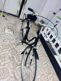 باسكل • مصبوغ • بعقوبه