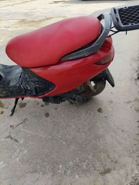 فراشه • فحل • دوانيه