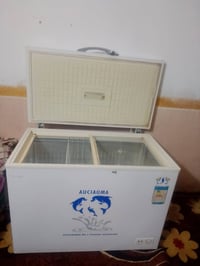 مجمدة • حجم كبير • تحتاج غاز