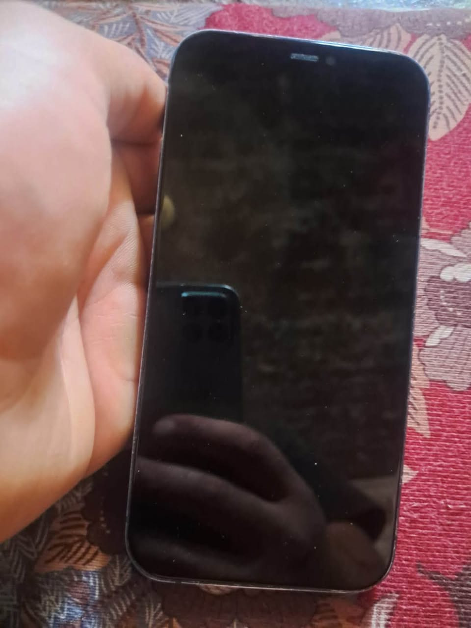 سلام عليكم ورحمة الله وبركاته
شلونكم اخوان اخوات 
شباب عندي هاذا ايفون 12عادي مابي كلشي بدلتله شاشه قبل سبوع كلشي مابي بطاريه اب لاديه، بطاريه 75 بعد كلشي مابي تجي تفحص او تاخذه او الله او محمد او علي وياك شاشه اصليه او سعره 200او بي مجال المكان بغداد  تشتري اتصل ما تشتري اعبر  الرقم ***********او الخاص كذالك مفتوح
