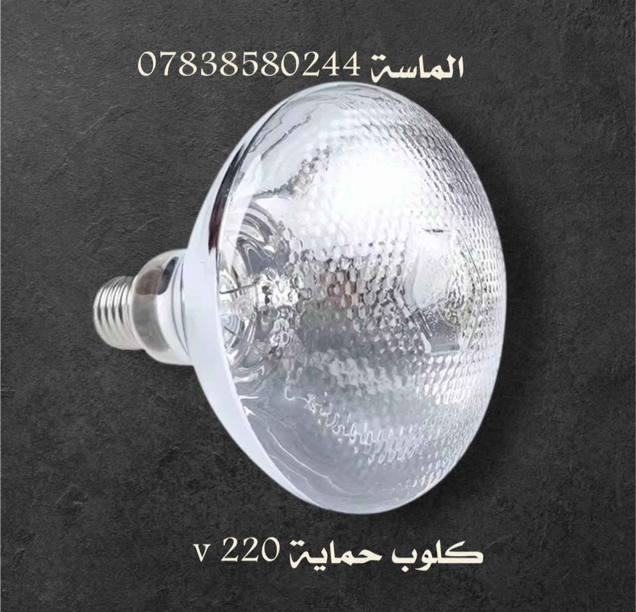 💎الماسة لمستلزمات الافران💎
***********   ➡️ واتساب فقط 

توصيل كافة محافضات العراق 5 الاف طيلة ايام الاسبوع
