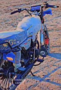 سيڤان سونك • ٢٠٢٥ • مكفولة