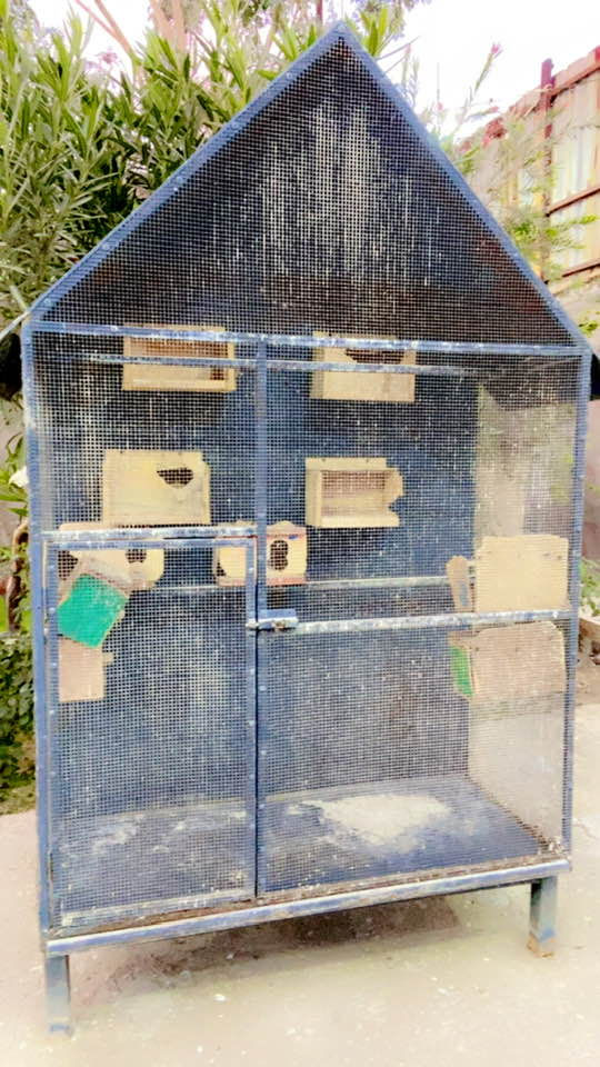 السلام عليكم عندي هذا القفص عرضه متر وبع وارتفاعه متر ونص اكثر هيجي شي سيم مالته كلش قوي وبي من جوه جرار يتنظف وبي قاعده من جوه رايده ١٢٥ شغله درجه اولى مكاني تقاطع النهروان ***********
