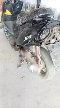 من رخصه الادمن دراجه عصفوريه للبيع نقره من اول هندر استفسار 0750609074...