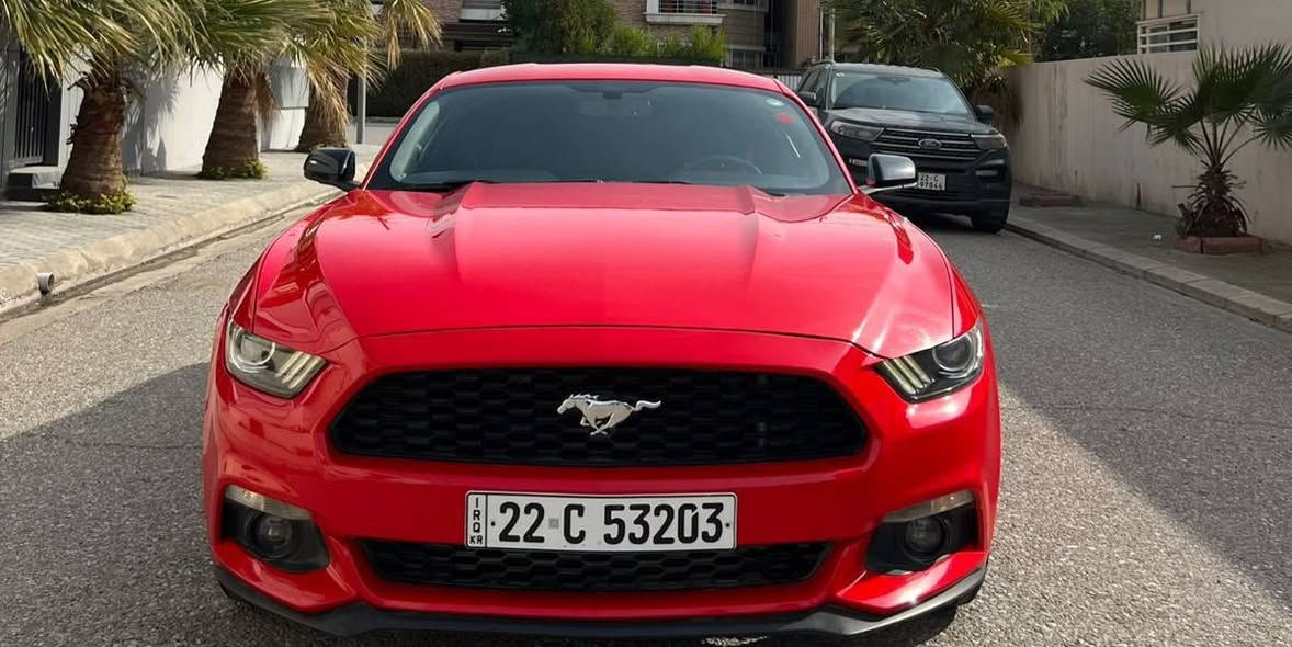 مۆستانگ 2017هه موشتی بە شە رت شوین هه ولێڕ


**إذا كنت صاحب هذا الإعلان وتريد حذفه لأي سبب، رجاءا أرسل رسالة إلى الدعم الفني**