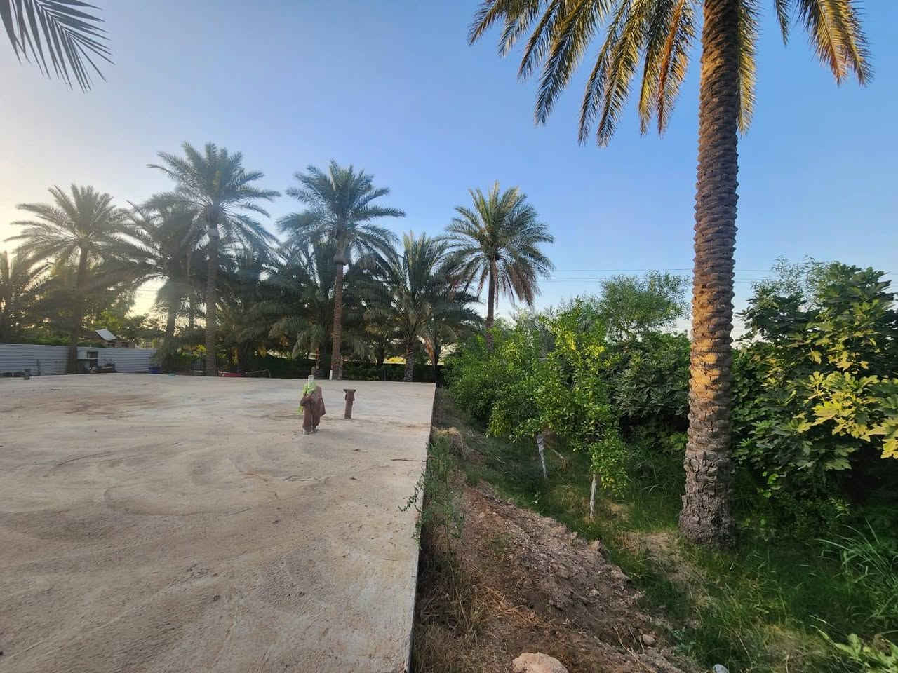 سلام عليكم ارض زراعي  على طريق كربلا طويريج مجاور للمعهد الفني  مطله على ٣مدارس ابتدائيه متوسطه اعدادي خدمات المساحه دونم على أربع شوارع
طابو زراعي بيهه بستان وتكدر سويهه مزرعه مكان يخبل  تحتوي على رفت بمساحه ٣٠٠متر  للتواصل، ***********
