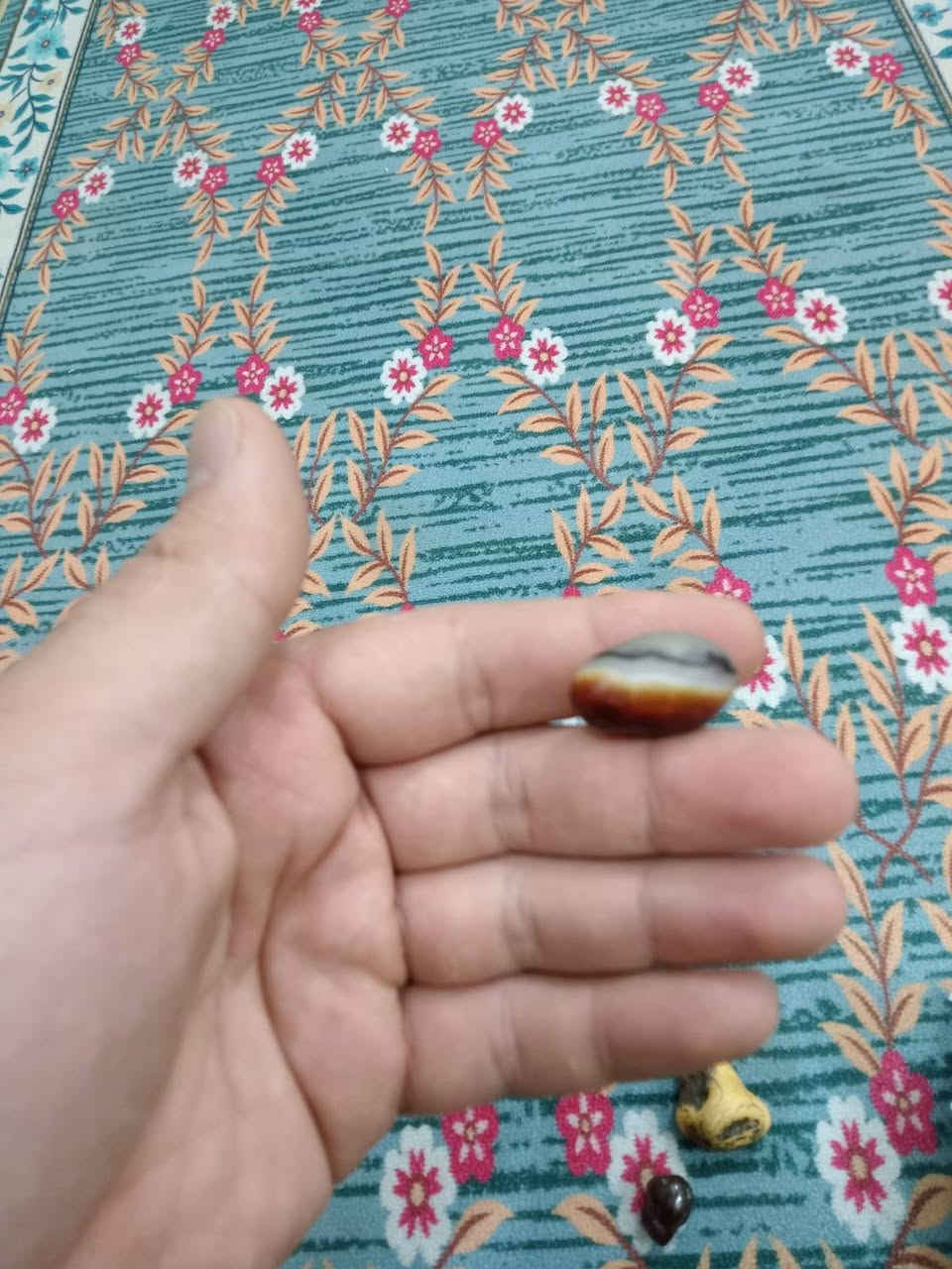 مراوس المحبس


**إذا كنت صاحب هذا الإعلان وتريد حذفه لأي سبب، رجاءا أرسل رسالة إلى الدعم الفني**