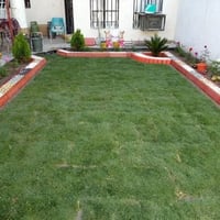 رمضان كريم وكل عام وانتم بالف خير....بمناسبة حلو شهر الطاعة والغفران.....