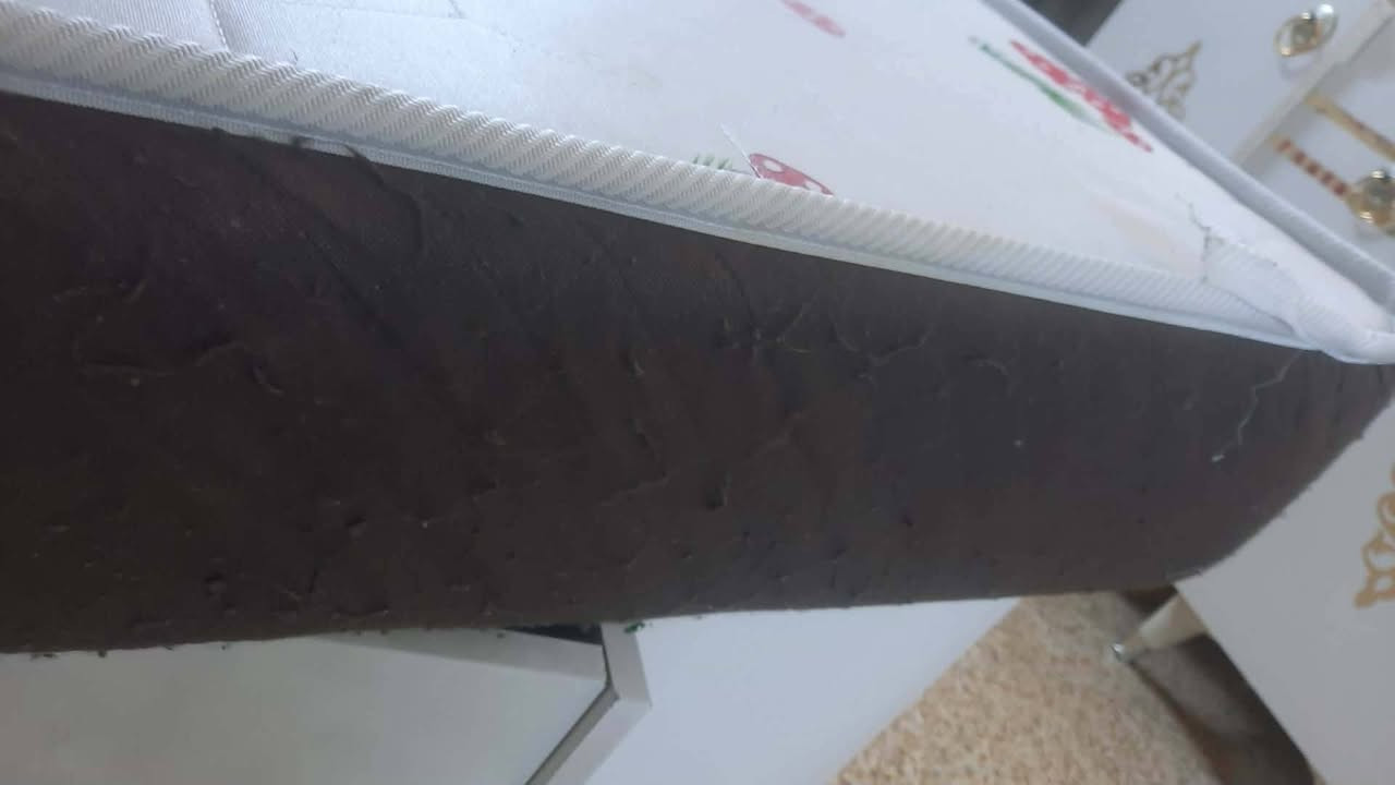 سلام عليكم دوشك نفرين البيع ب٥٠بي مجال بسيط


**إذا كنت صاحب هذا الإعلان وتريد حذفه لأي سبب، رجاءا أرسل رسالة إلى الدعم الفني**