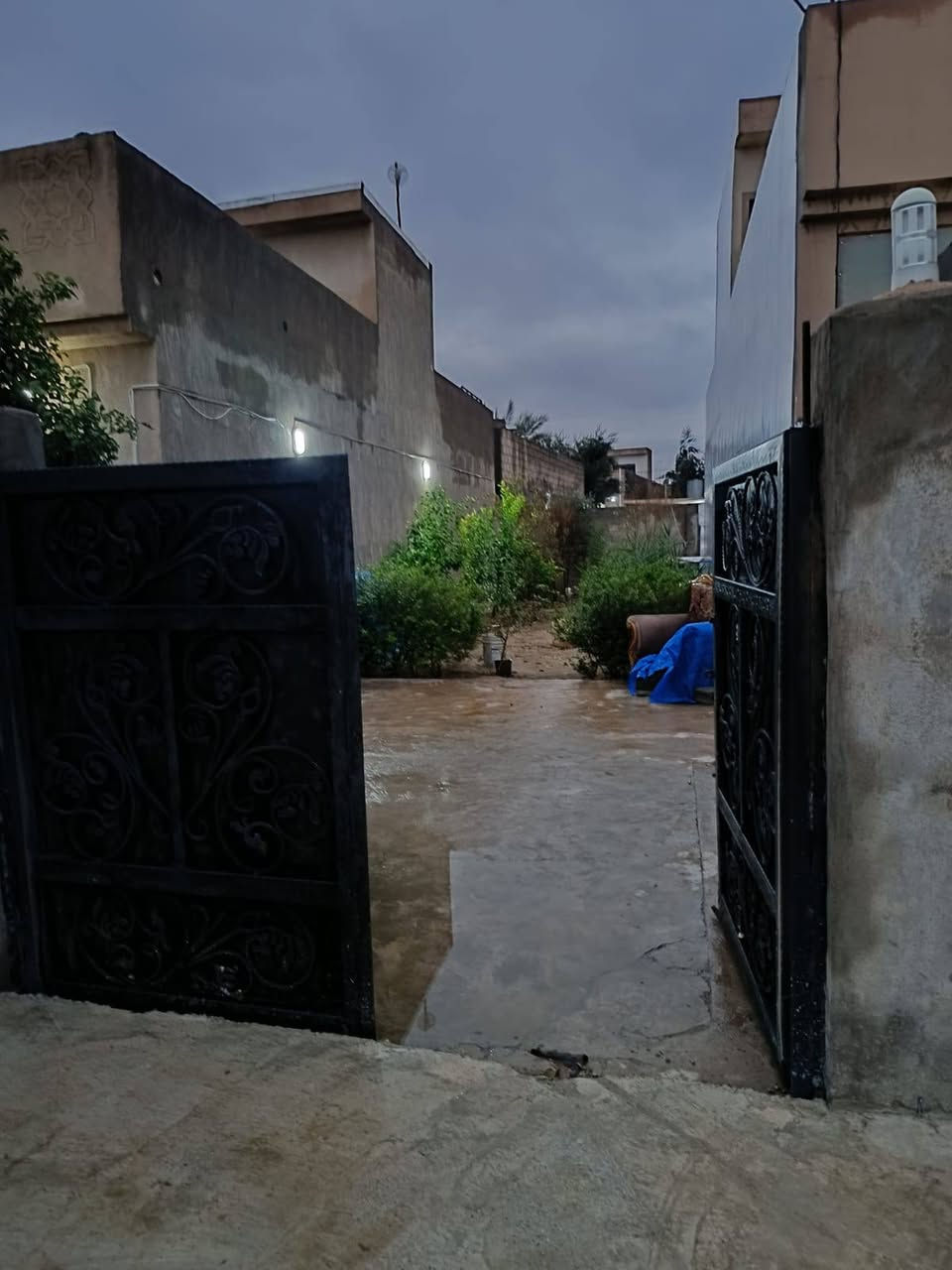 موقعه خانقين بانميل خلف قاعه حجي زياد 300 متر 200 بناء 100 حديقه بصف البيت يحتوي على غرف 2 واستقبال وصاله ومطبخ حار بارد صحيات داخلي وخارجي مع بير ارتوازي ومجاري كامل وكدام البيت شارع صب كامل سعره 45 مليون وبي مجال شوي للستفسار اكثر ***********
