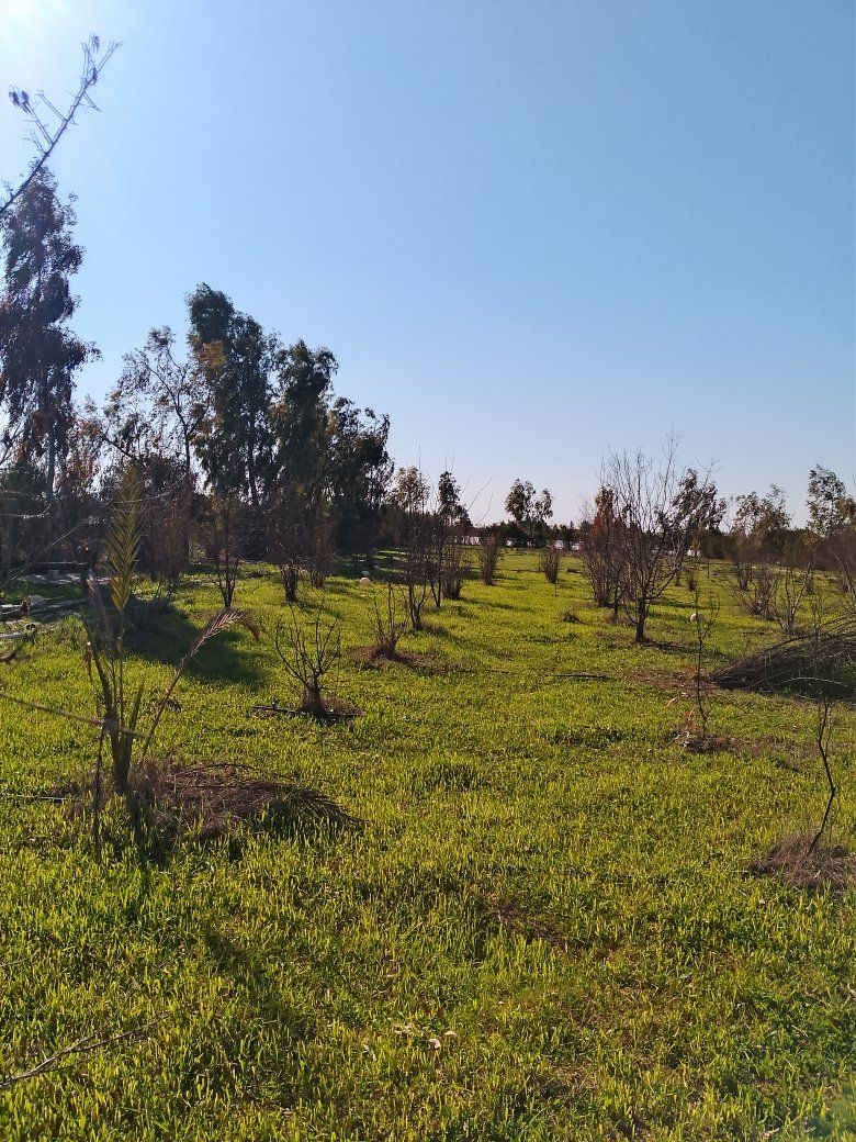 مزرعه للبيع مساحه ٢ دونم زراعي في كركوك طريق ليلان خلف معمل غاز مسافه بيها بيت وبئر ماء وكهرباء وحديقة والاشجار سعره ٣٠ مليون للمزيد من المعلومات اتصال على رقم مبايل ***********
