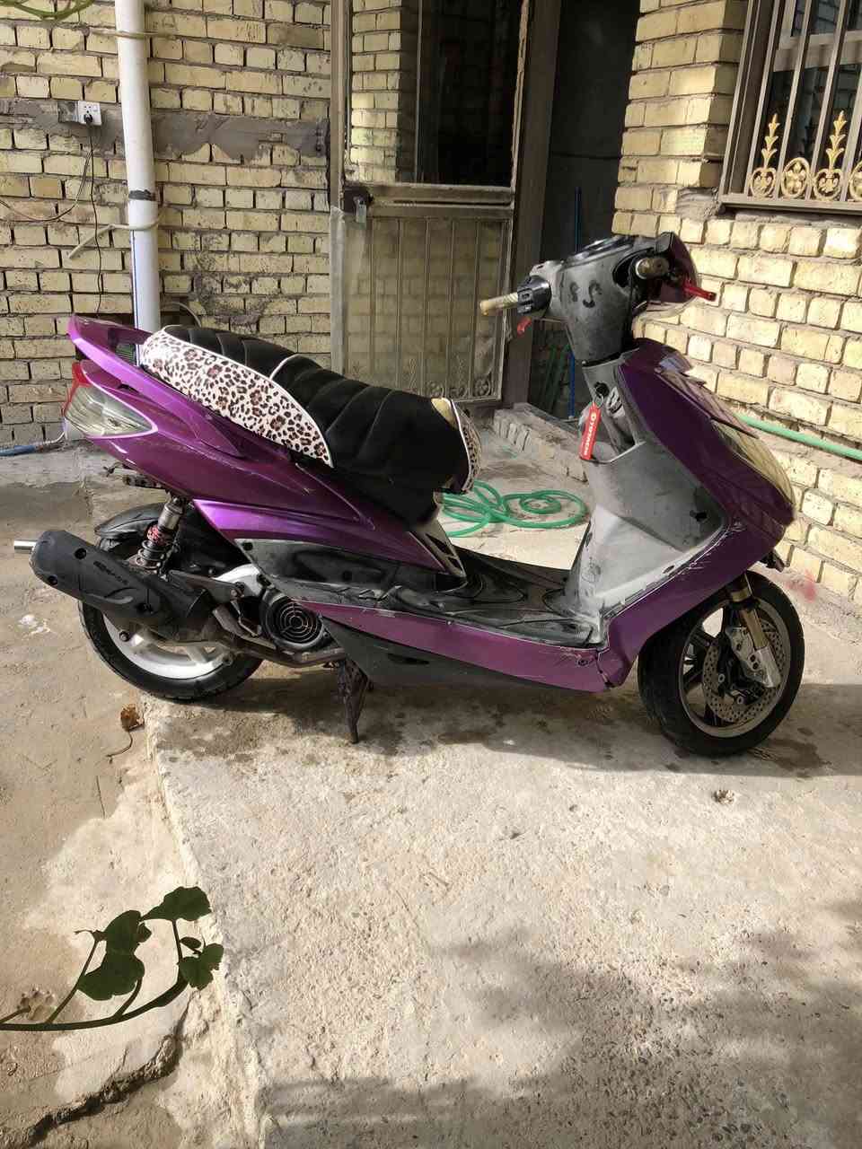 سلام السلام سكنس فحل نوزل تزويده كله اصلي دراجه ضفيرته يرادله ترتيب كاطعه ناريه مكينه مابيه شي بس ابيع كوم حديد لحد يطبلي يكلي شبيه ابيع عله هل وضعيه السعر 550 مكاني بغداد البياع تقاطع درويش *********** وتساب
