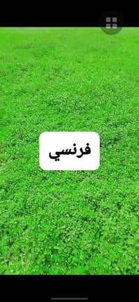 ‬‏يوجد خدمت توصيل لجميع المحافظات ويوجد كادر لتجهيز الحدائق لطلب ولستف...