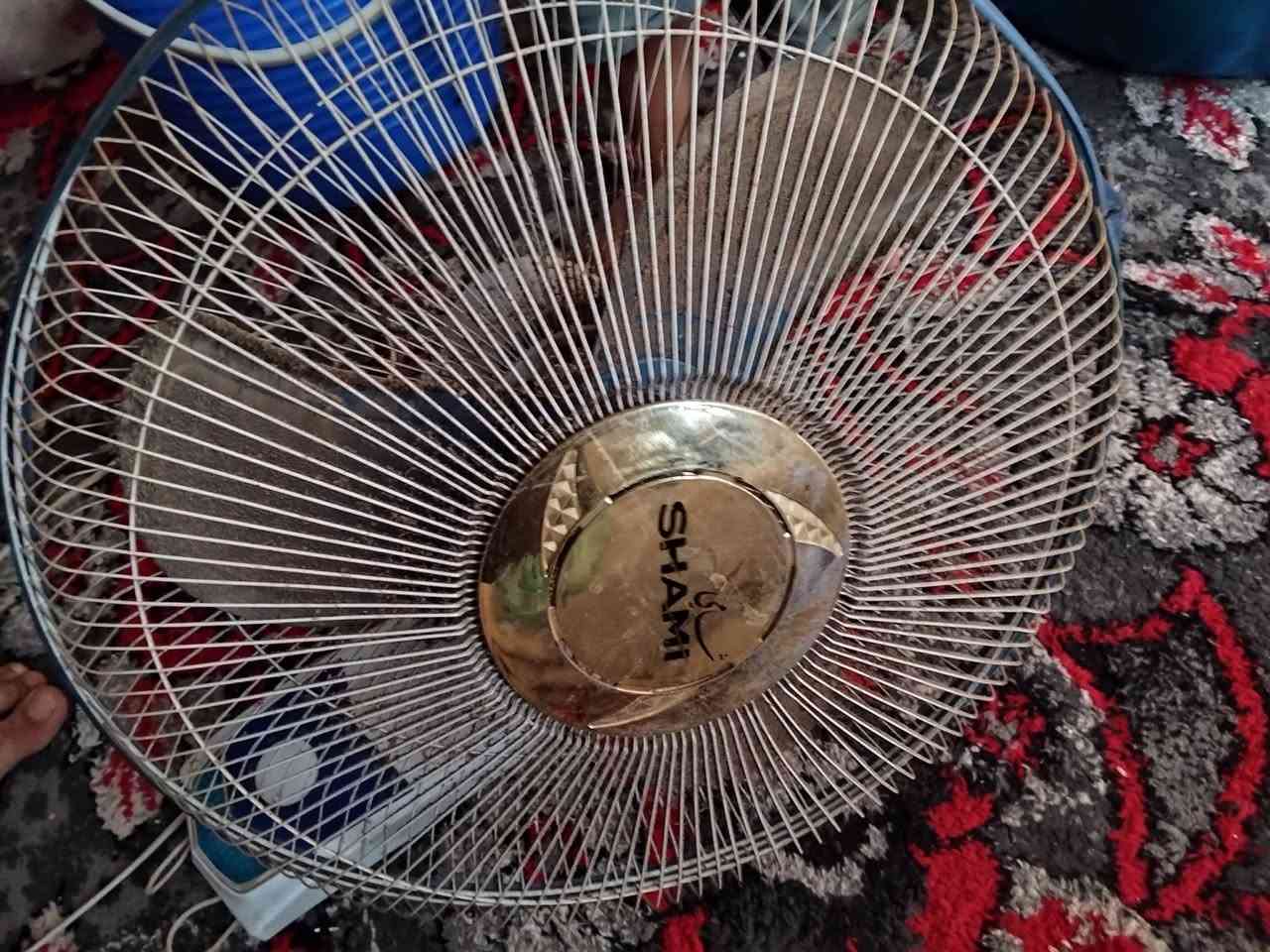 أغراض للبيع
مكنسة كهربائية هيتاشي الأصلي بدون خرطوم ب 35 

فلتر ماء بس عوزه محوله ب 25 (ابيع عاطل ) 

اقفاص الخشب ب 20 أخو جديد والحديد الواحد ب 5 

مروحة جدارية مستخدمه قليل ب 25 
محرك مولدة استرة كوريه 12 امبير سلف هو وباتريه جديد عوزه تبديل رنكات يطلع دخان ب 25 

عنواني نجف شارع المطار القديم 

*********** موجود اتصال او واتساب 

ماسنجر ما عندي
