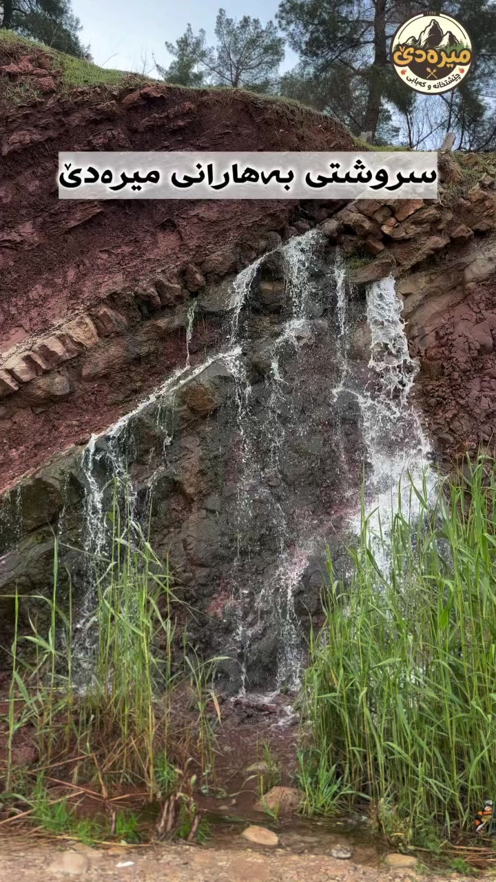 حەزدەکەی لەگەڵ کێ سەردانی ئەم شوێنە بکەیت و نانێک تاقی بکەیتەوە؟!!؟؟تاگی بکە😎چێشتخانەی میرەدێ 🌲لەخزمەت میوانە بەڕێزەکانیدایە هەموو ڕۆژەکانی هەفتەبەخواردنی فرێش و تەندروست بەسروشتێکی ڕەنگین وجوان کاتژمێر:٧:٣٠بەیانی بۆ٠٨:٠٠ ی شەو‎ناونیشان:ڕێگای سەرەکی زەڕایەن دەربەندیخان"تەنیشت گوندی میرەدێ __(6)خولەک ،لەزەڕایەنەوە دوەرە 📞☎(***********_***********_***********‎#

کەباب #تشریب #چێشتخانەی_وکەبابی_میرەدێ# #restorant_mirade‎#مطعم #food #Gashtyar #foryou #tiktok#viraltiktok#fyp#اكسبلور
