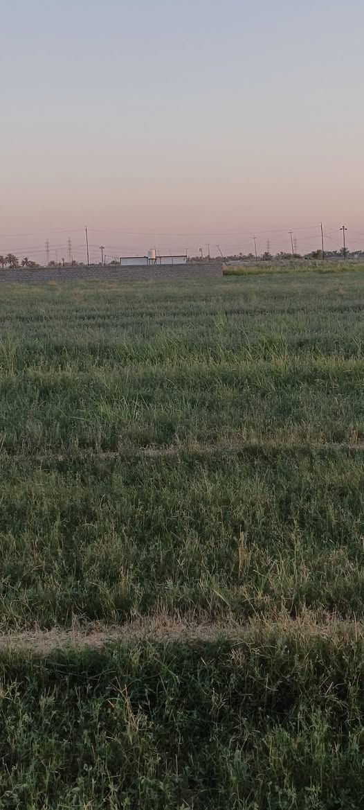 السلام عليكم ارض زراعيه للبيع بمنطقه ابو غريب خلف جوهره العدنان ترهم سكن أو مزرعه خاصه عائليه ملكي شخصيا خدمات كهرباء سحب تعهد من كلشي سعر 30وبي مجال رقم ***********
