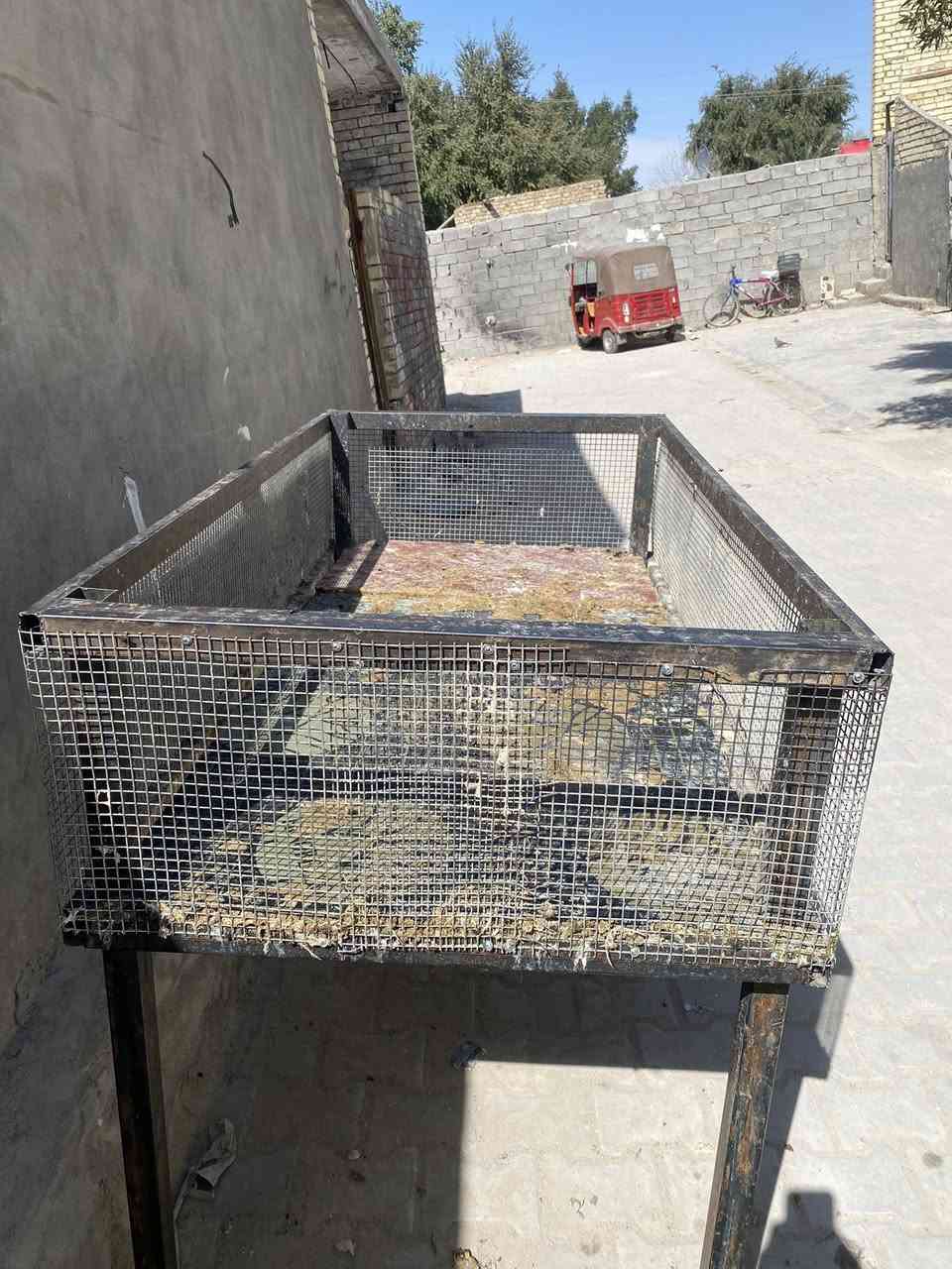 سلام عليكم عندي هلاسه مالت دجاج وعندي قفص مالت دجاج وتجي مذبحه مالت دجاج هديه للبيع واستفسار على هاذه الرقم***********
