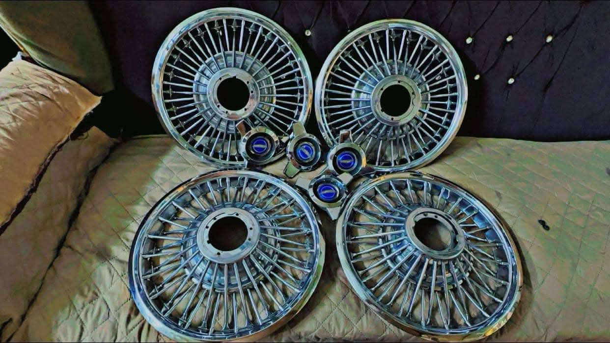 كبات موستنك...
٪100٪100 جداد.
.. بل كارتون . ... ***********
