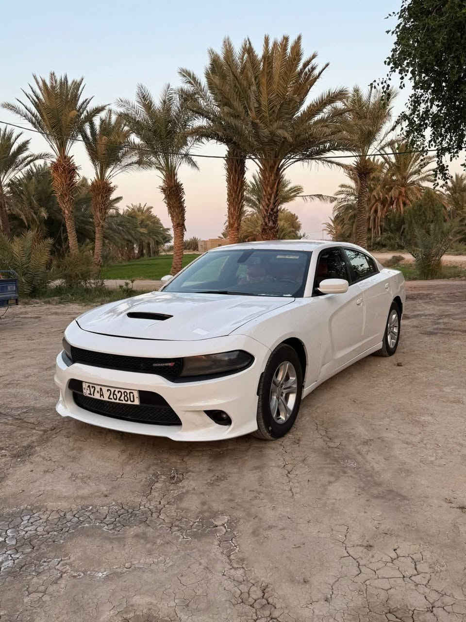 يالله سلام عليكم جارجر مديل 2017اصل رقم مثنئ.
سياره جاهز كفاله كير مكينه حداديه اكسن تخم تاير
دواخل جديده كشن حضن حار بارد، بيه اربع قطع بدون دواخل سياره خير من الله ترايك للسعوديه السعر 158
17718146567


**إذا كنت صاحب هذا الإعلان وتريد حذفه لأي سبب، رجاءا أرسل رسالة إلى الدعم الفني**