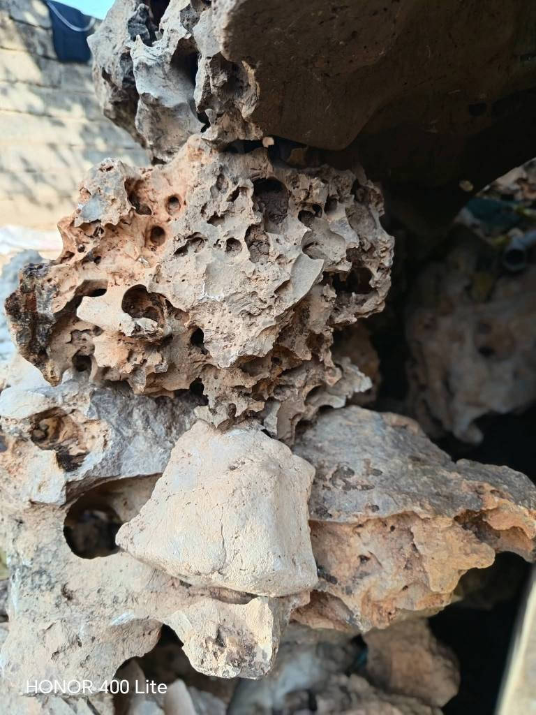 ئەم بەردە کون کونانە بۆ فرۆشتن
بۆ ڕازاندنەوەی باخجەکانتان 
بەردەکان زۆر جوانن 
دوو پیکابی تاکمان هەیە
ناونیشان هەڵەبجەی شەهید 
بۆ نرخ چات بکەن حلبجة, السليمانية


**إذا كنت صاحب هذا الإعلان وتريد حذفه لأي سبب، رجاءا أرسل رسالة إلى الدعم الفني**