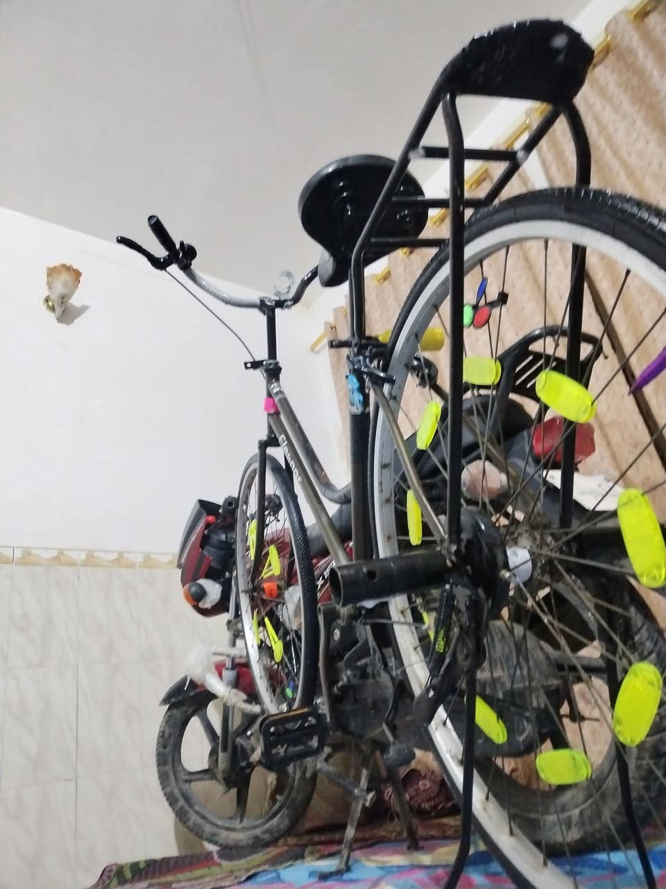 للبيع بايسكل بناتي حجم 27 سانتوس السعر 50بدون قراضه 45


**إذا كنت صاحب هذا الإعلان وتريد حذفه لأي سبب، رجاءا أرسل رسالة إلى الدعم الفني**